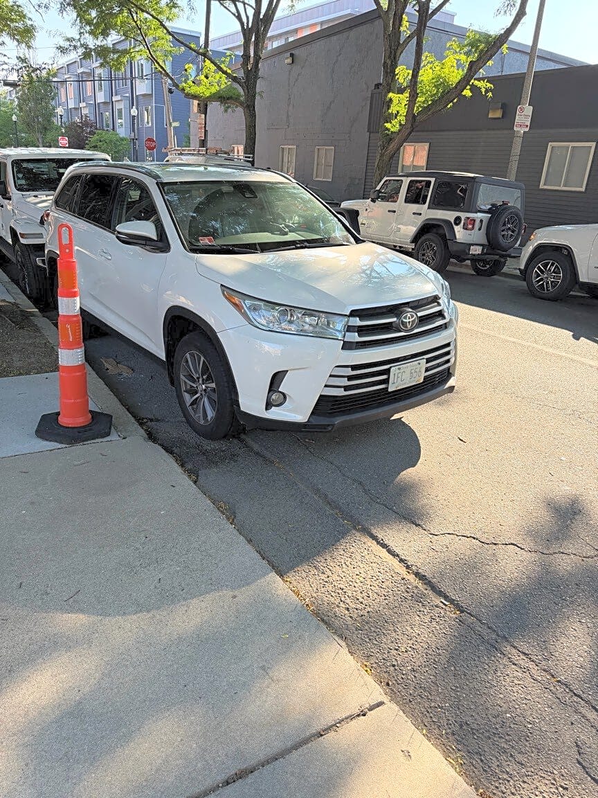 Image submitted with report