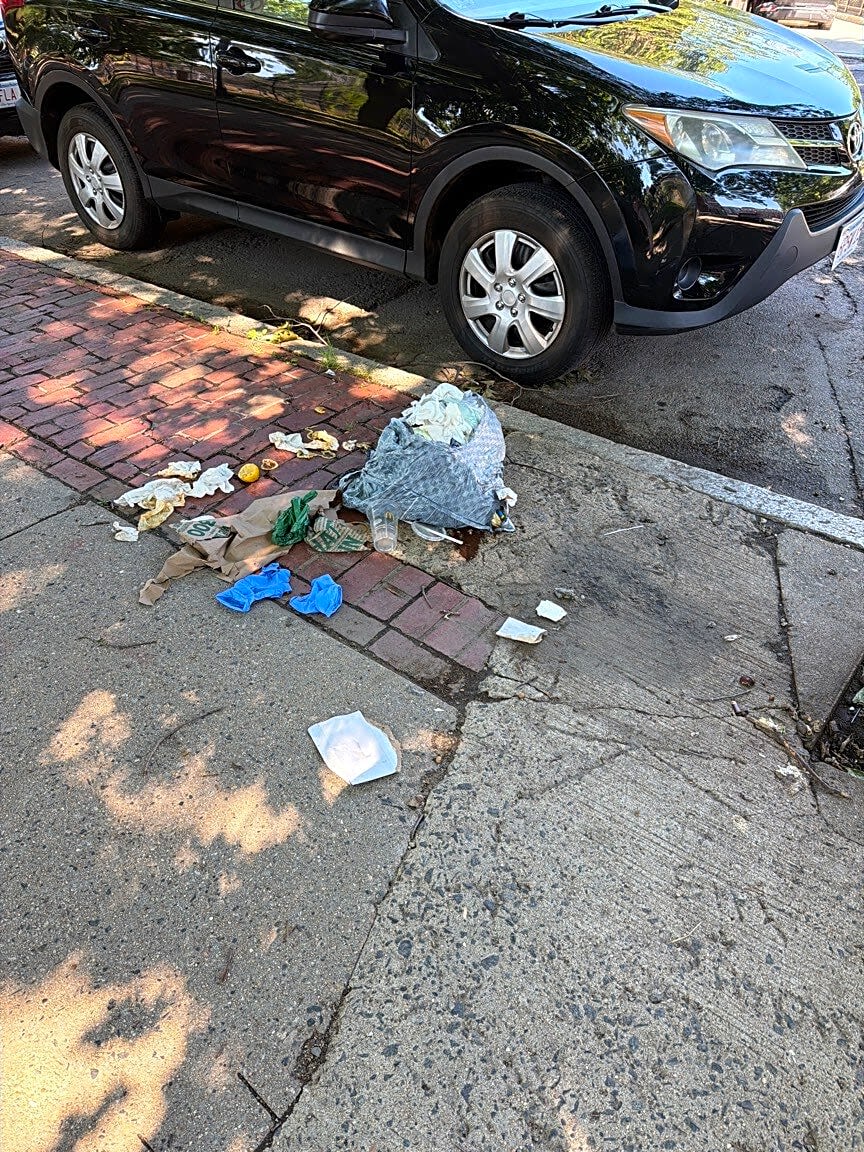 Image submitted with report