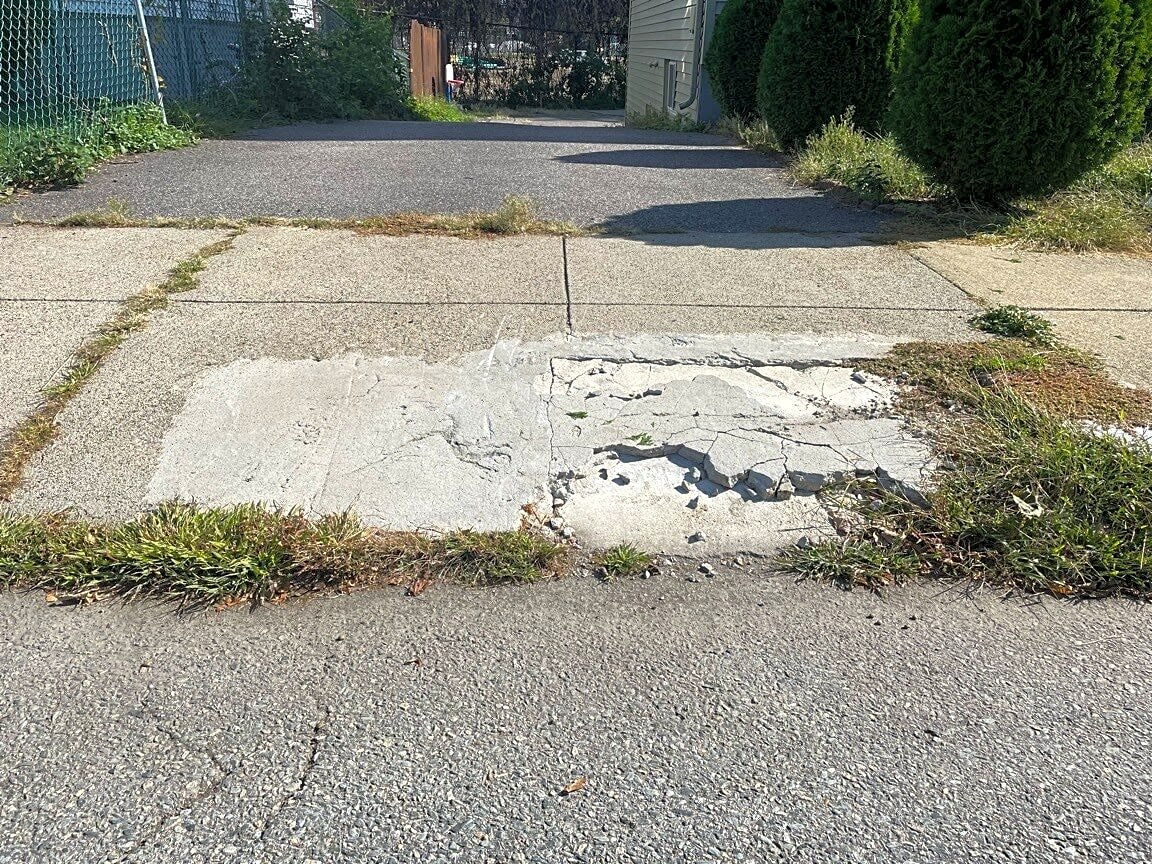 Image submitted with report