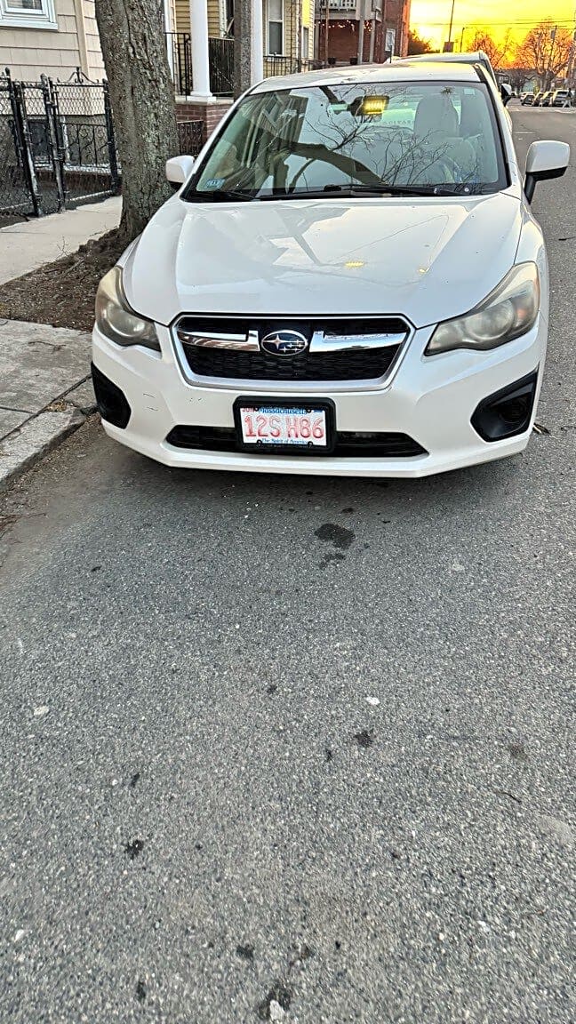 Image submitted with report