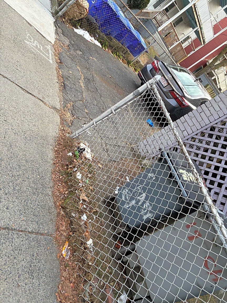 Image submitted with report