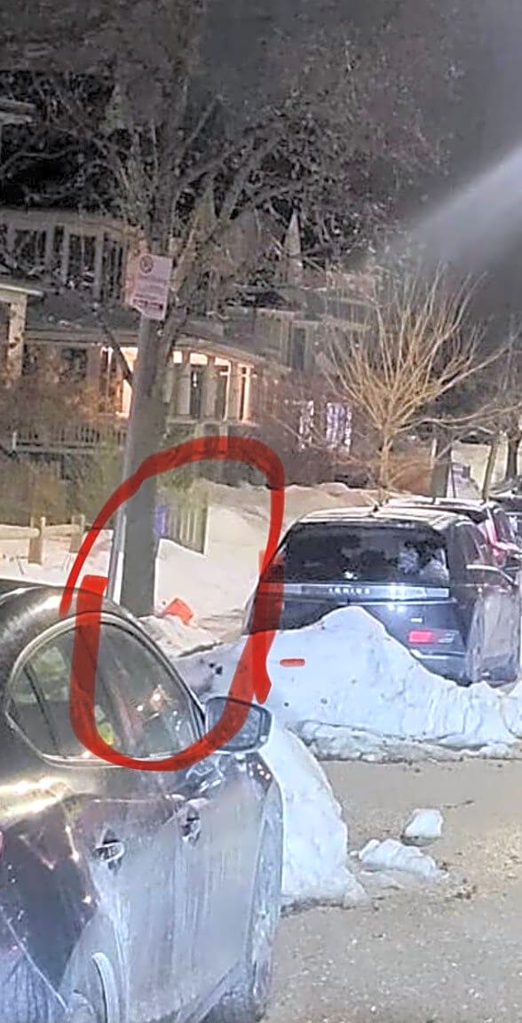 Image submitted with report