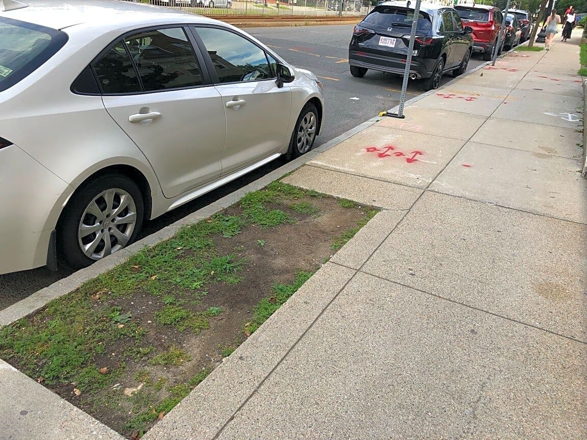 Image submitted with report
