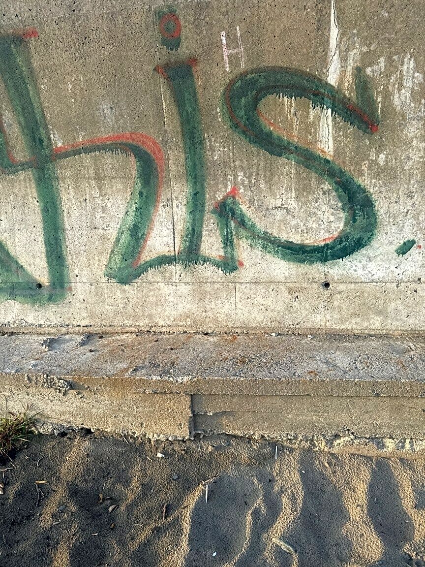 Image submitted with report