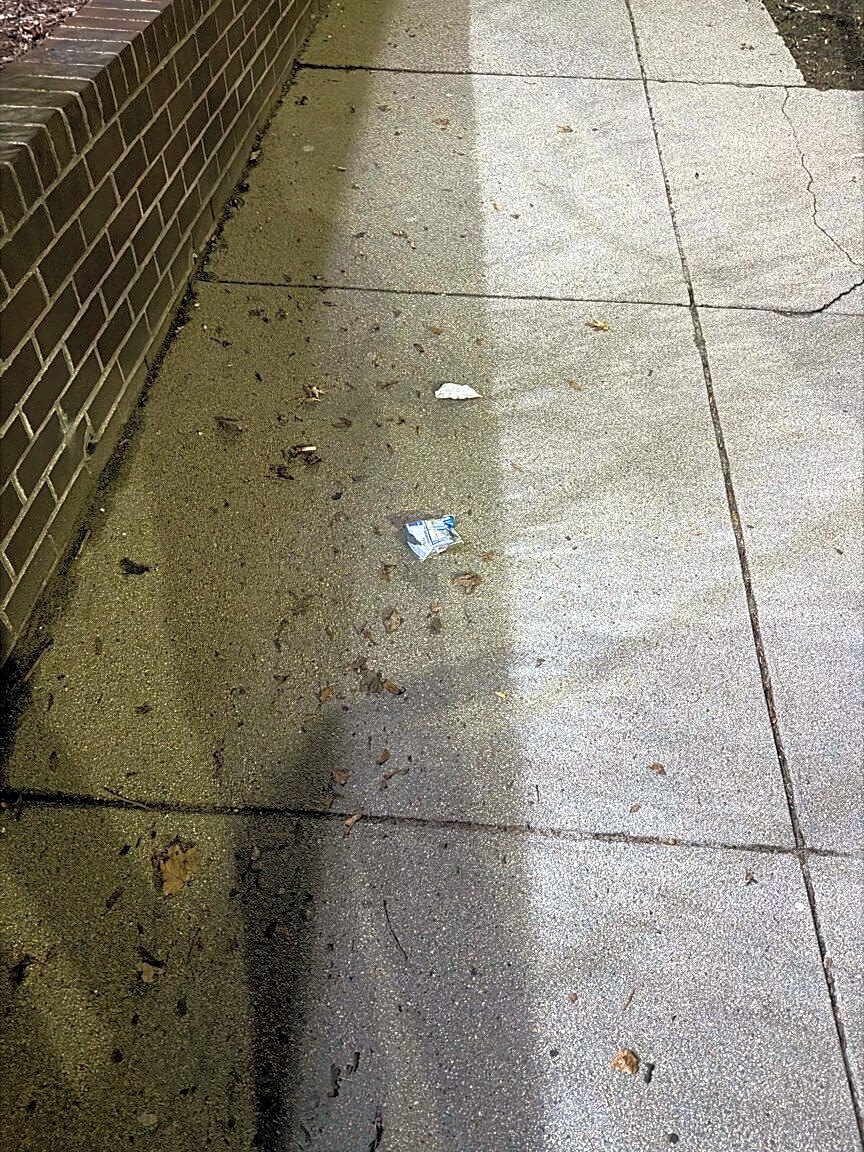 Image submitted with report