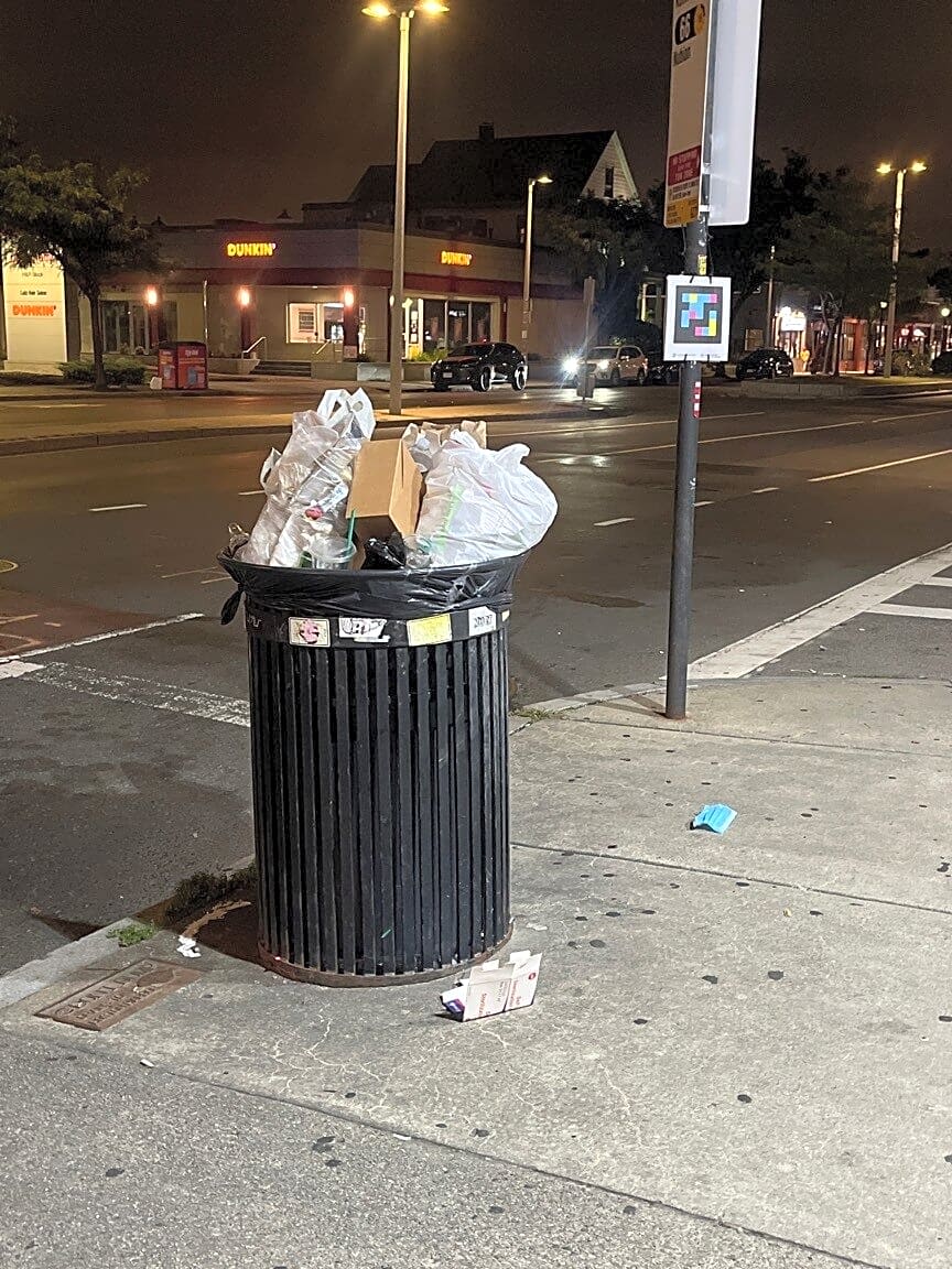 Image submitted with report