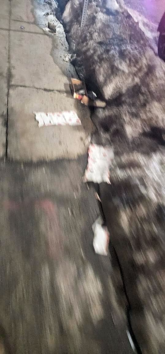 Image submitted with report