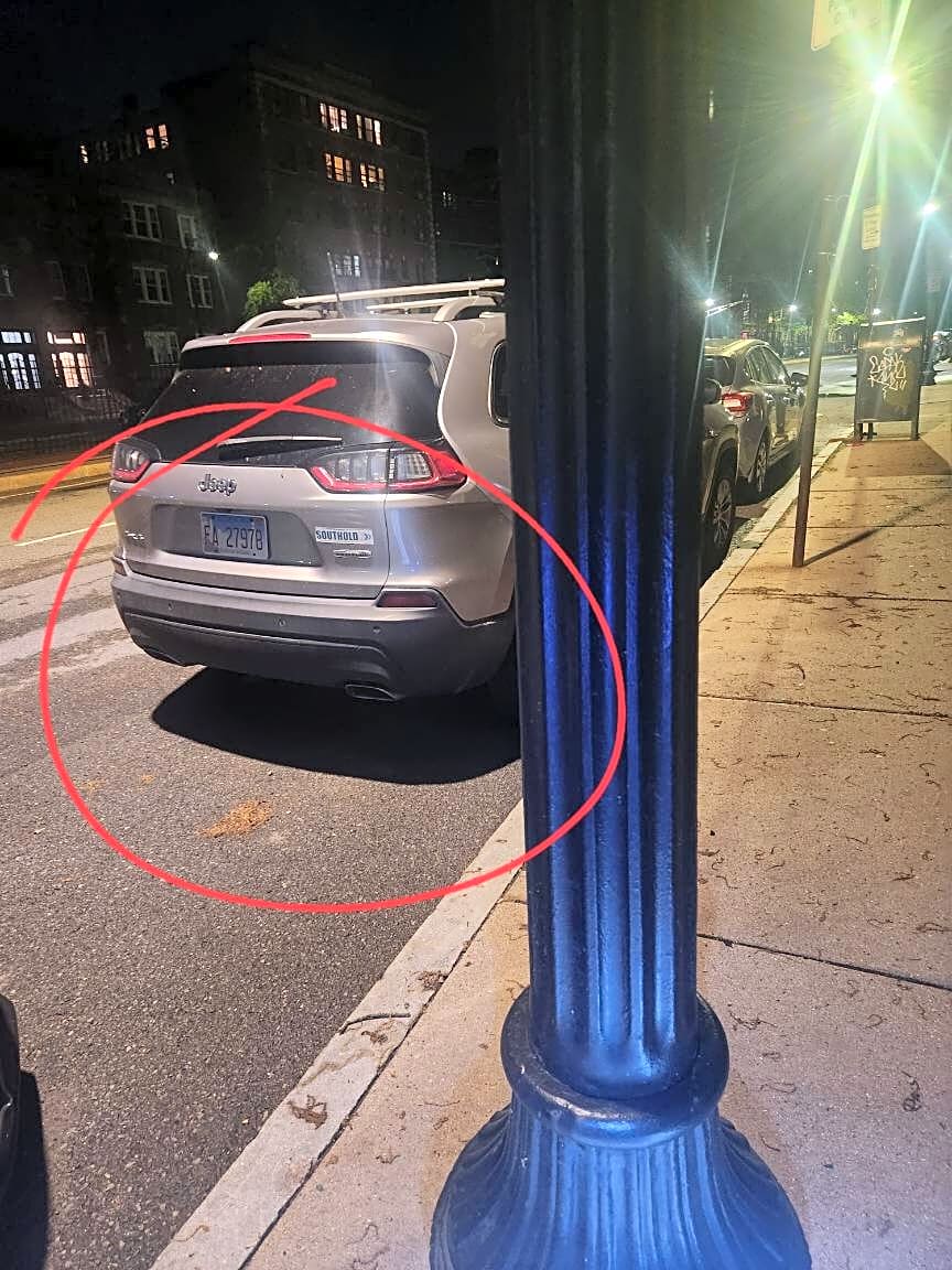 Image submitted with report