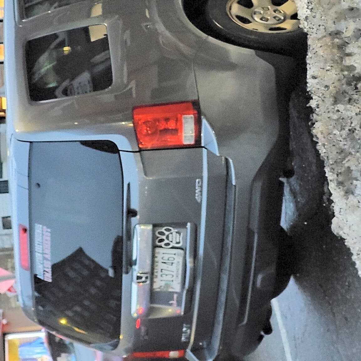 Image submitted with report