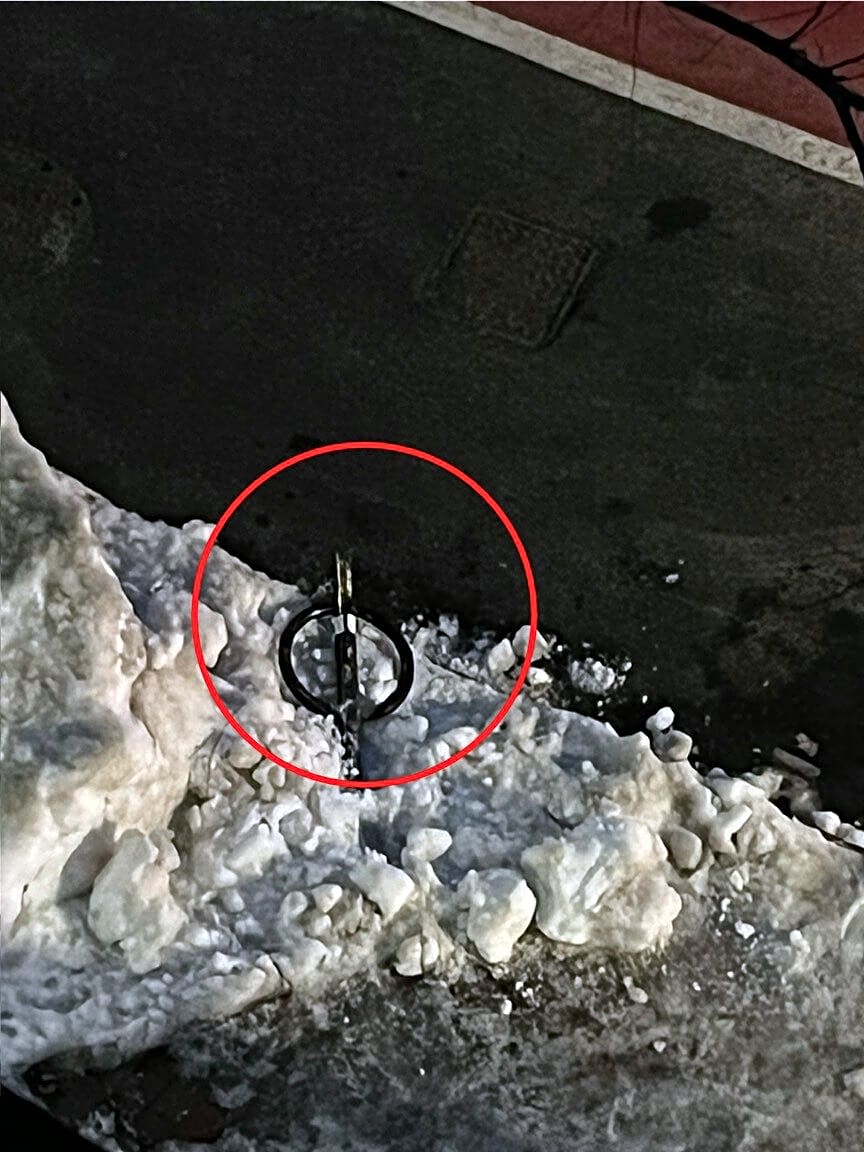 Image submitted with report