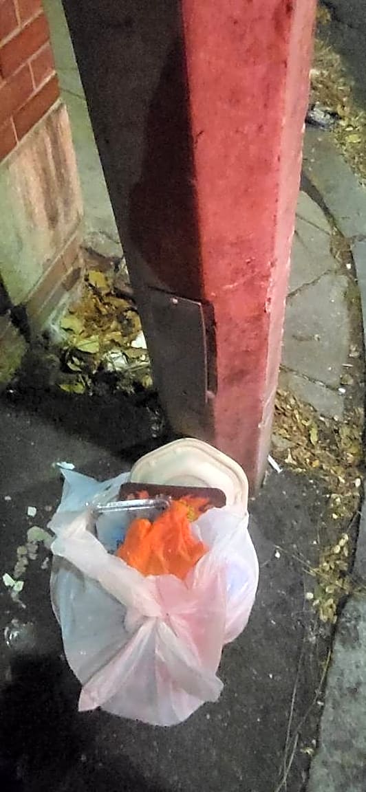 Image submitted with report