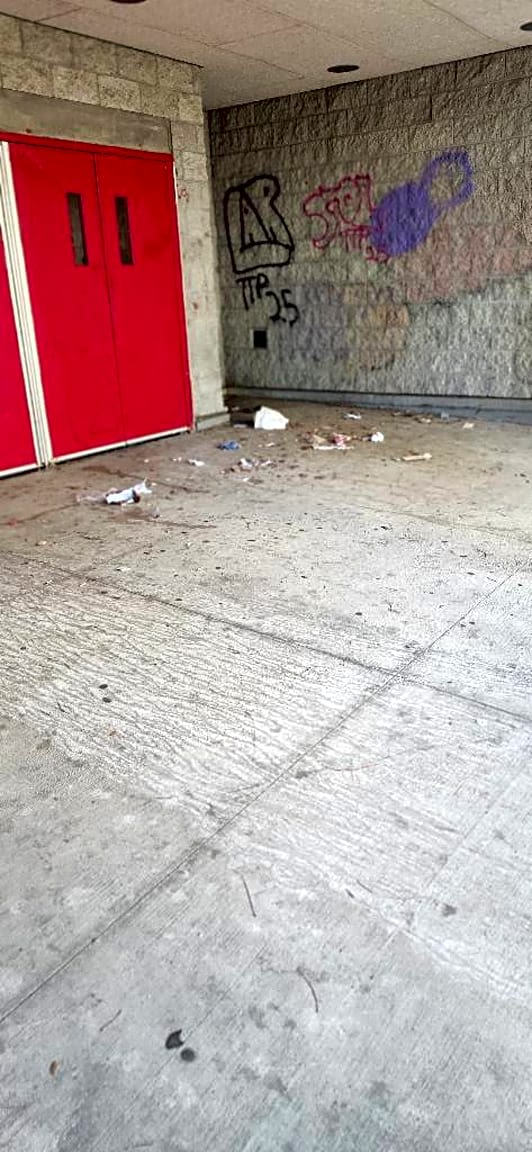 Image submitted with report