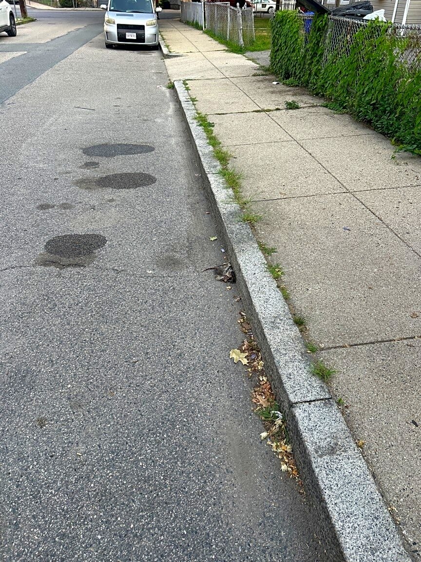 Image submitted with report