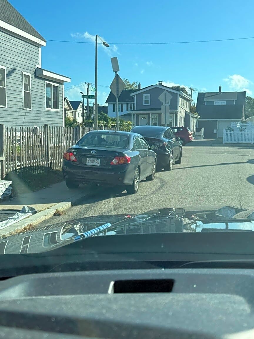 Image submitted with report