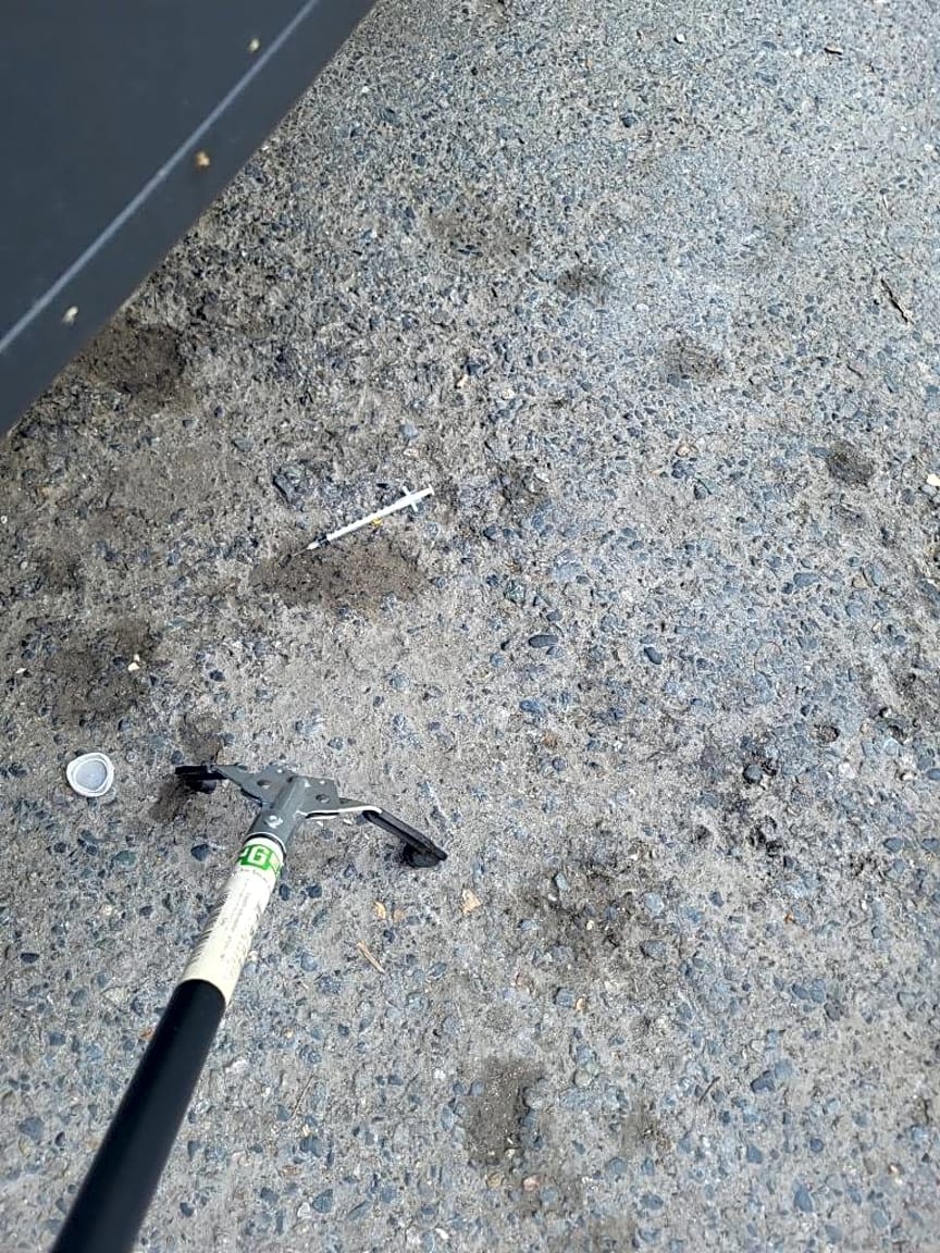 Image submitted with report