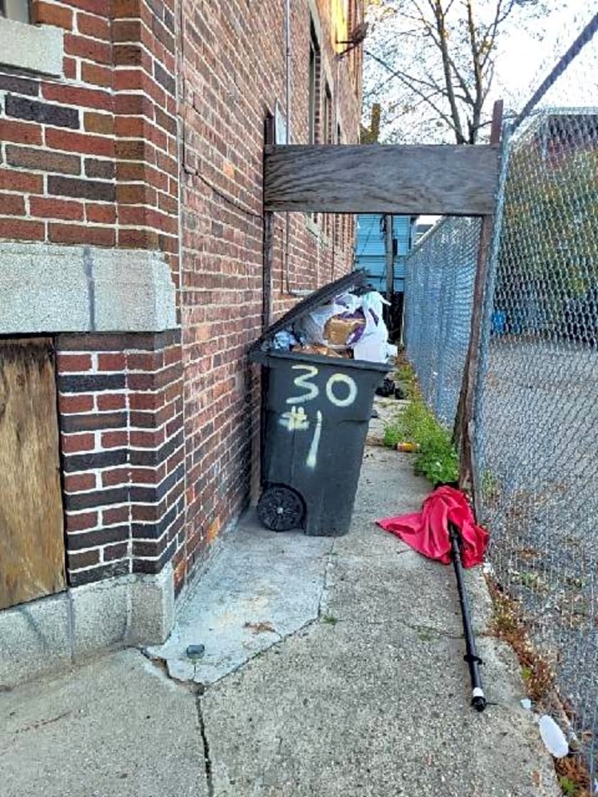 Image submitted with report