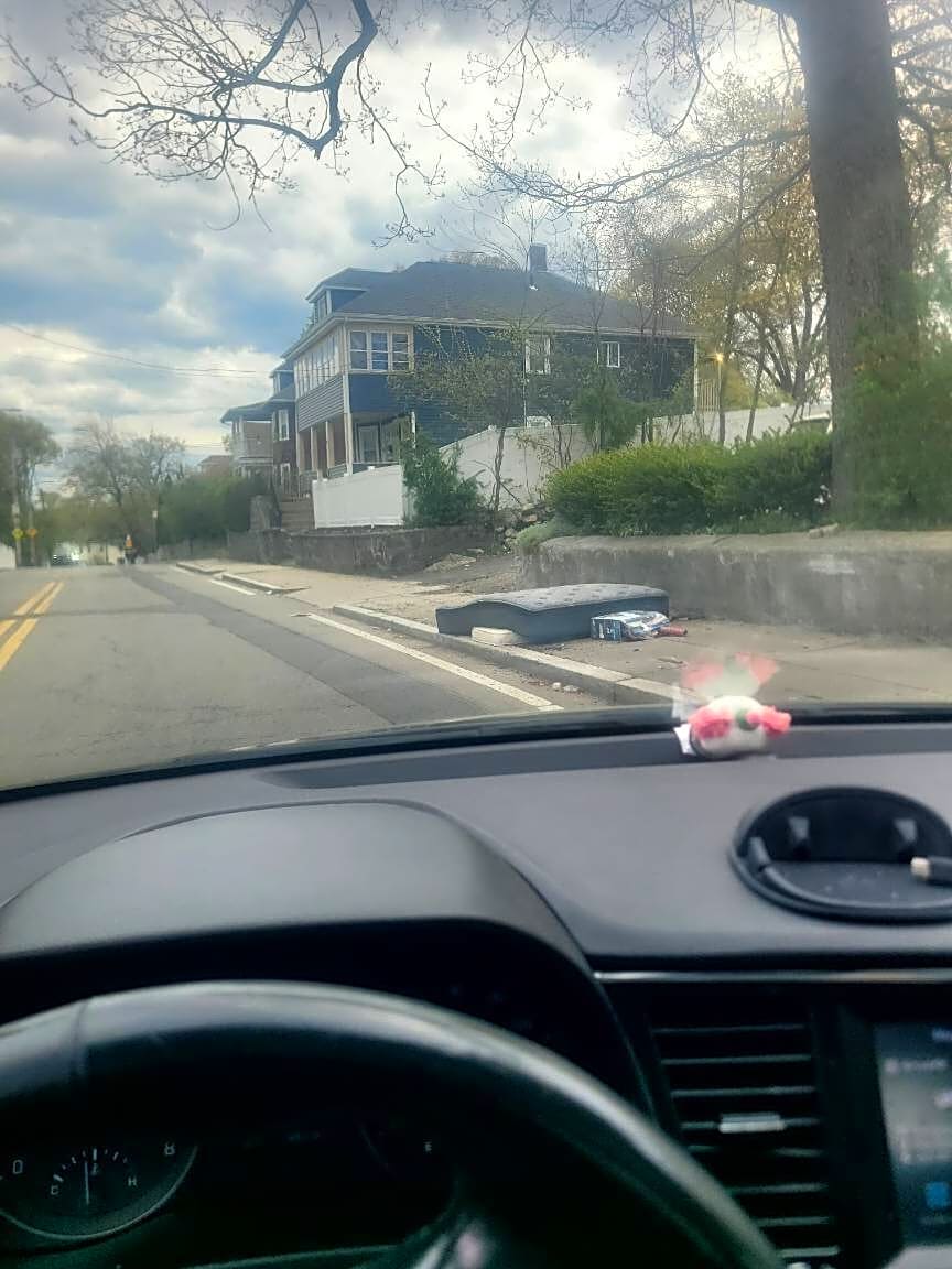 Image submitted with report