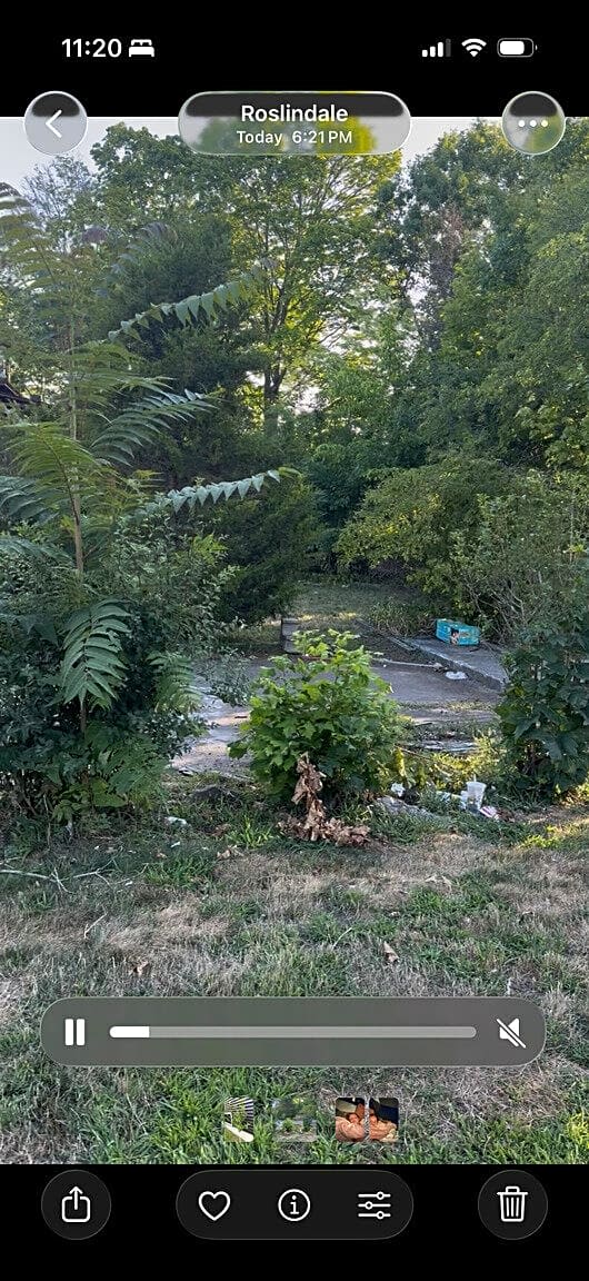 Image submitted with report