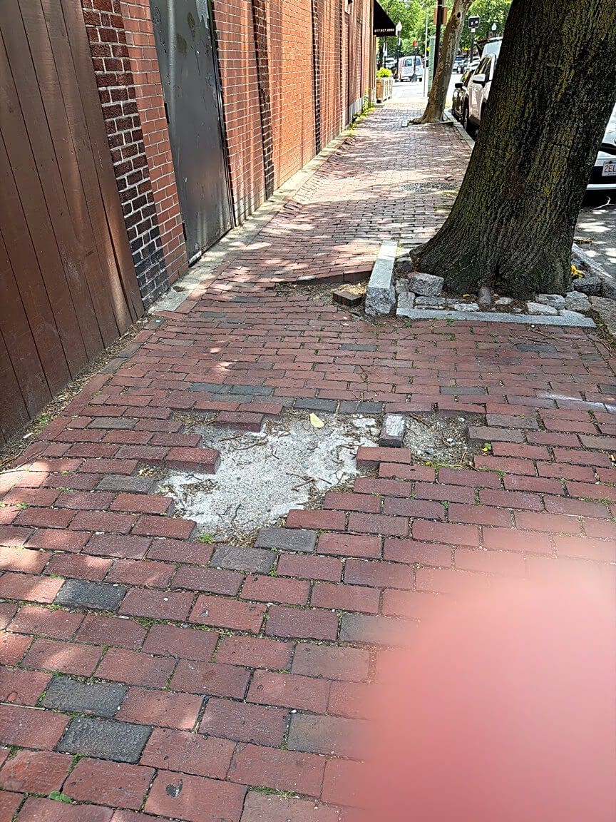 Image submitted with report