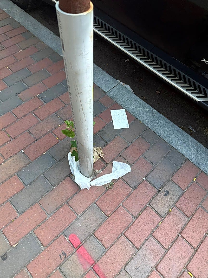 Image submitted with report