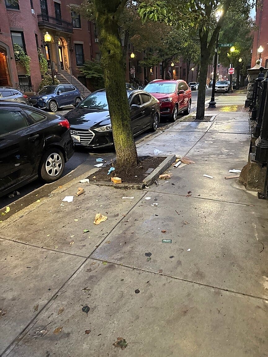 Image submitted with report