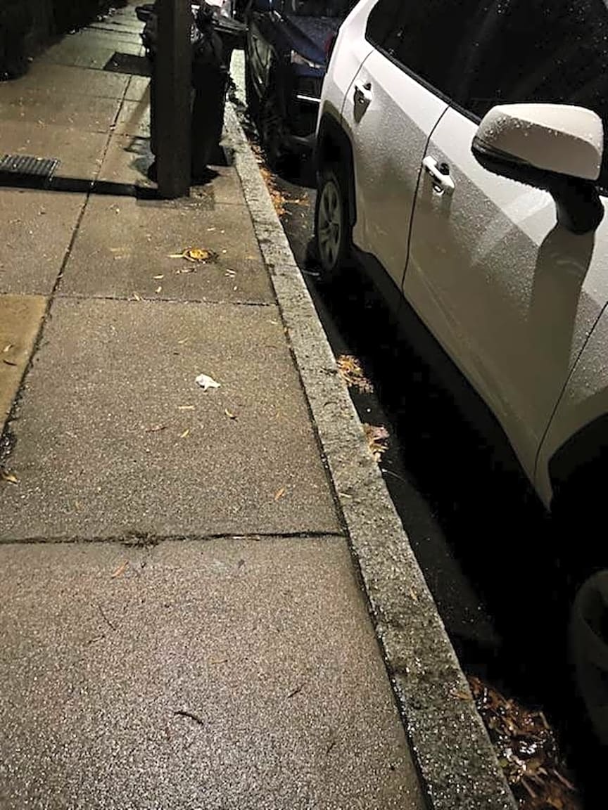 Image submitted with report