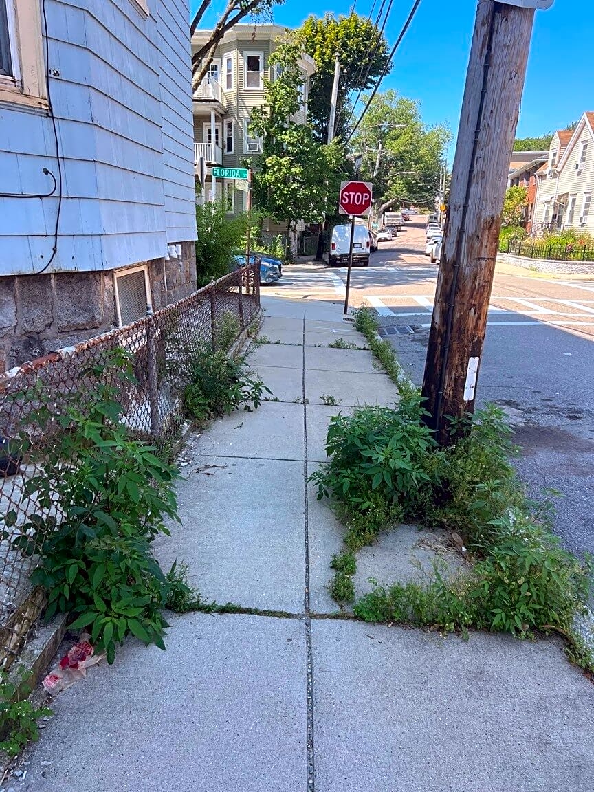 Image submitted with report
