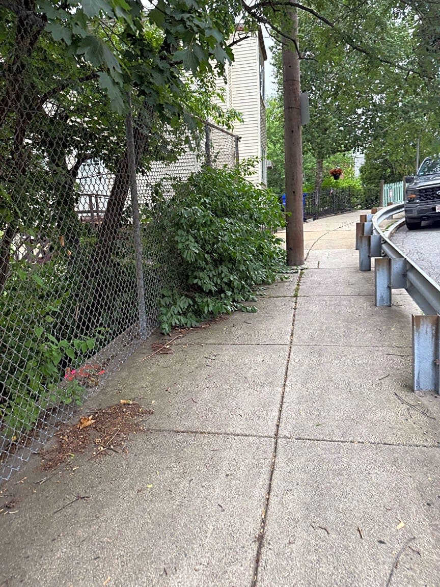 Image submitted with report