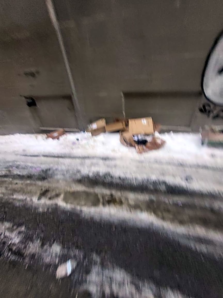 Image submitted with report