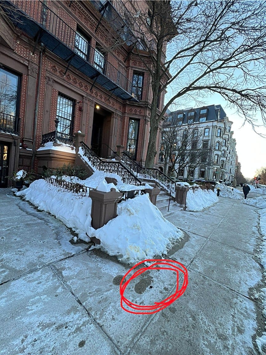 Image submitted with report