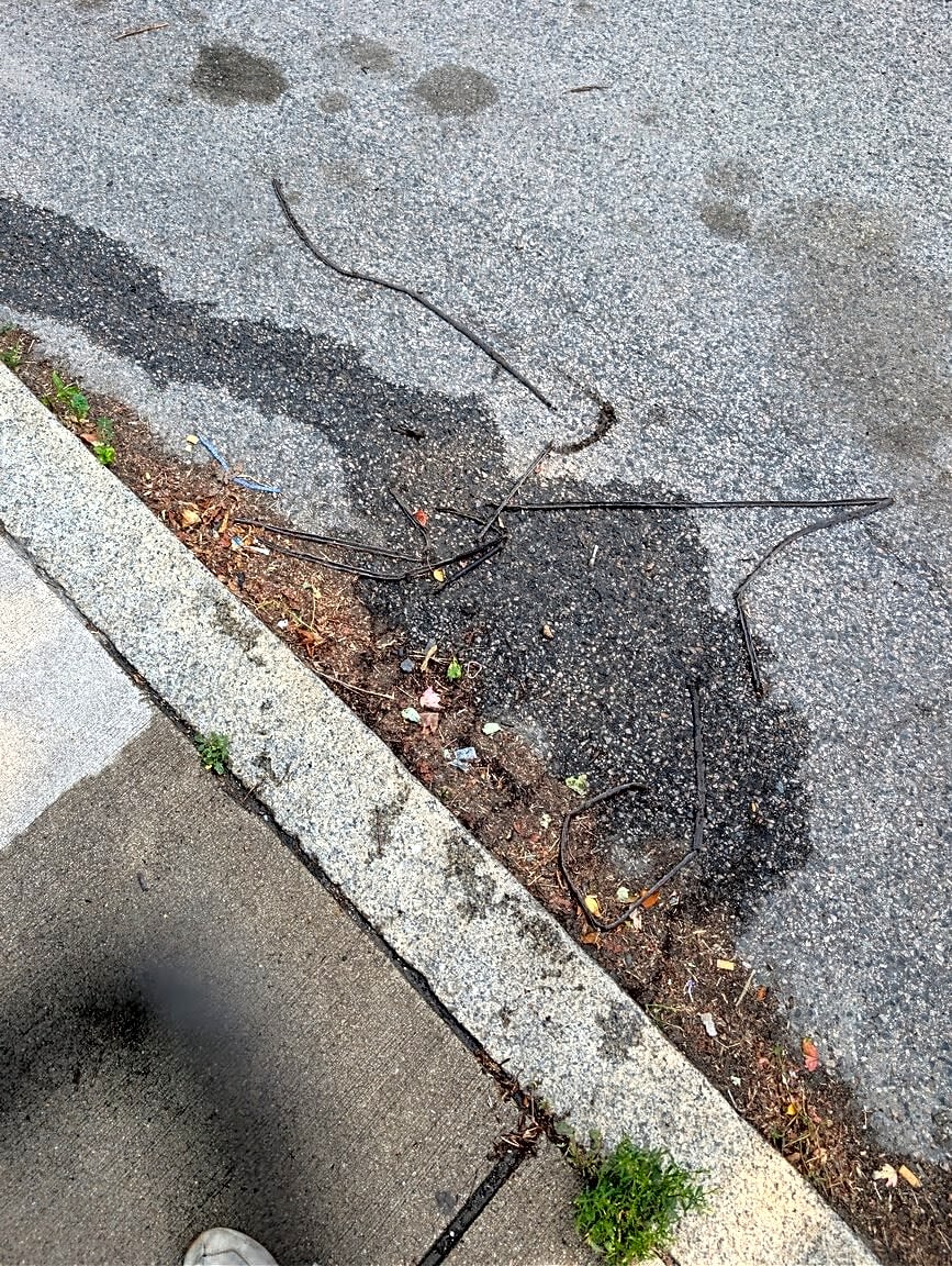 Image submitted with report