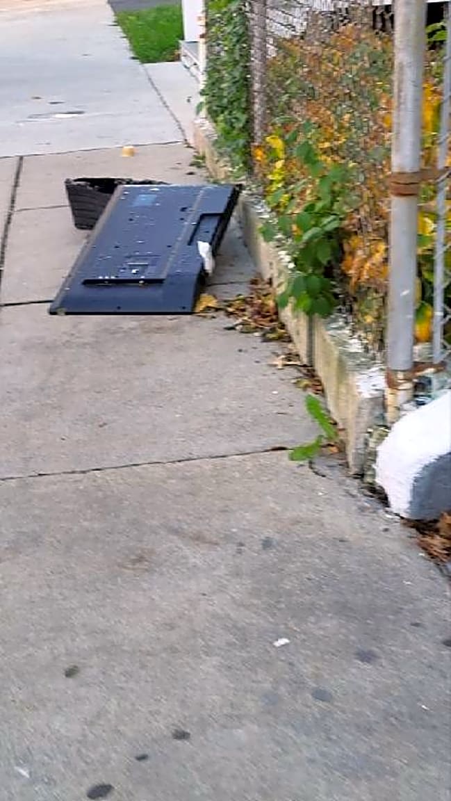 Image submitted with report