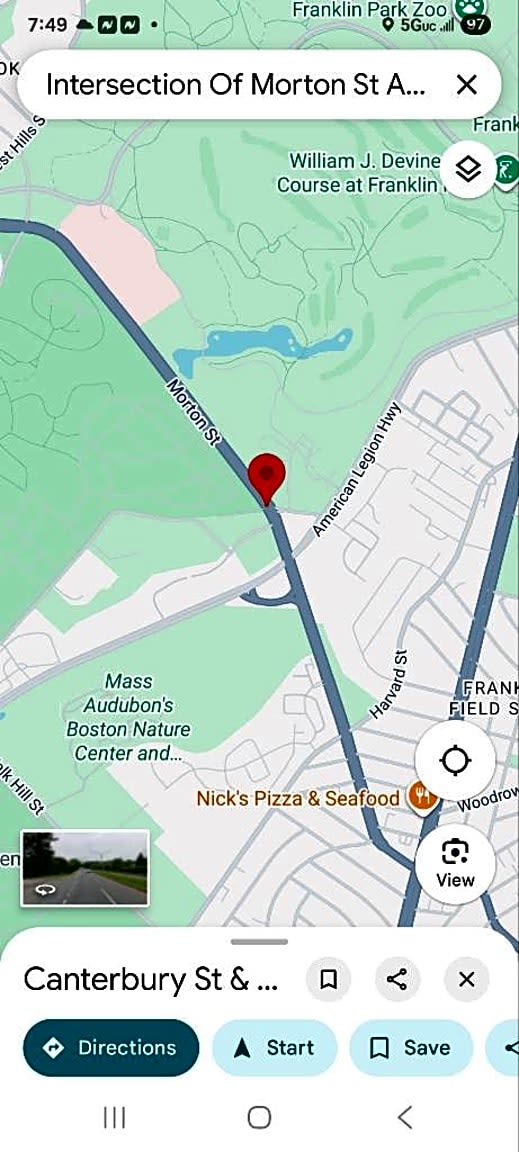 Image submitted with report