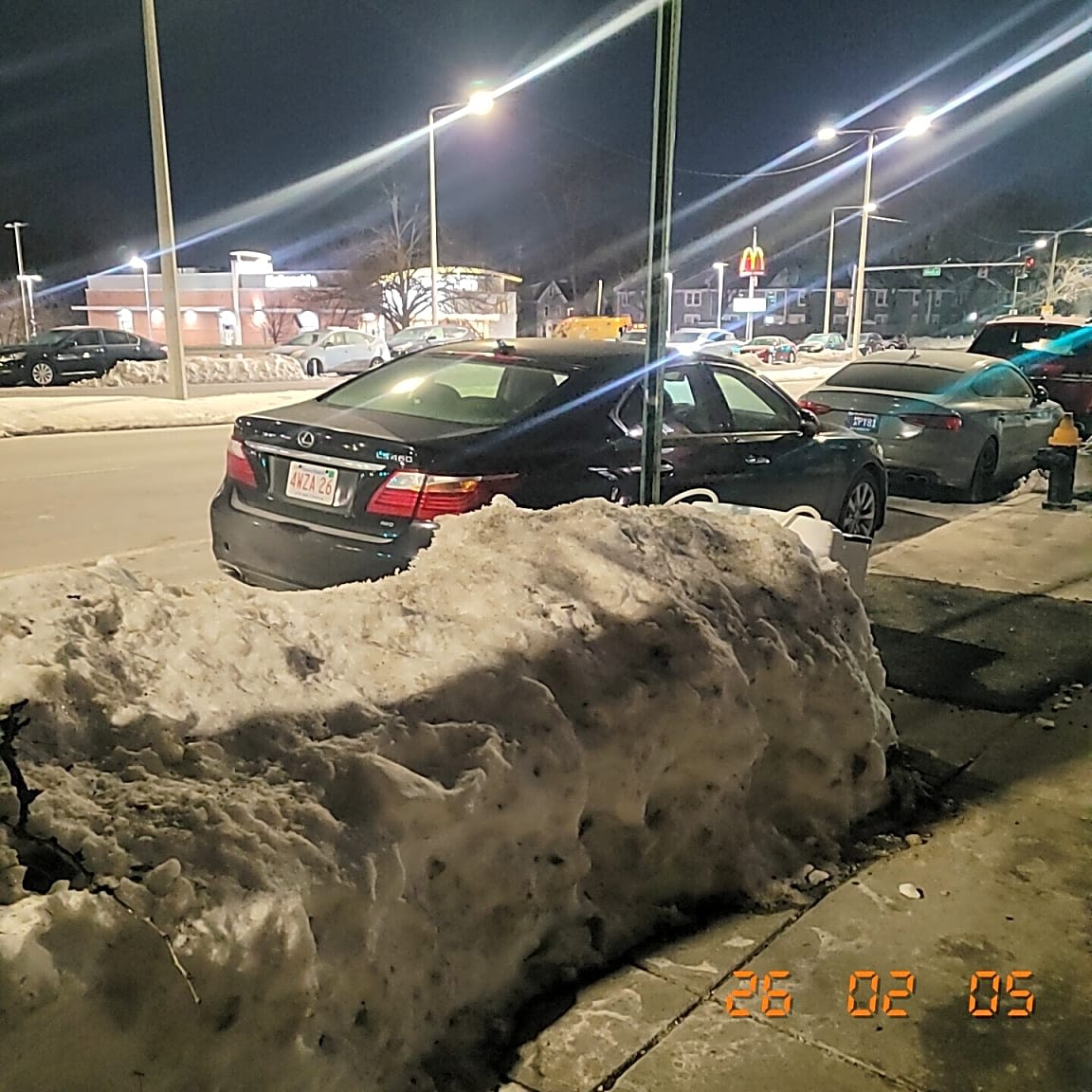 Image submitted with report