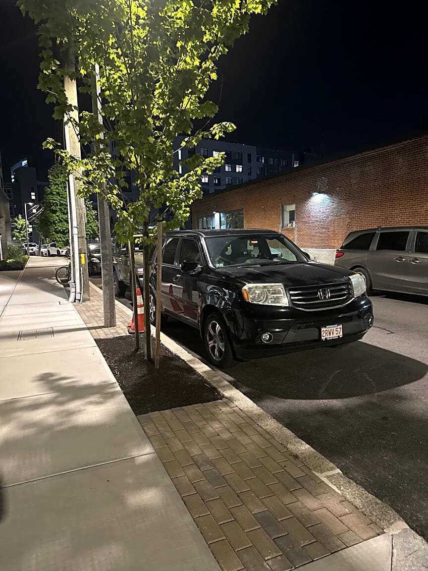 Image submitted with report