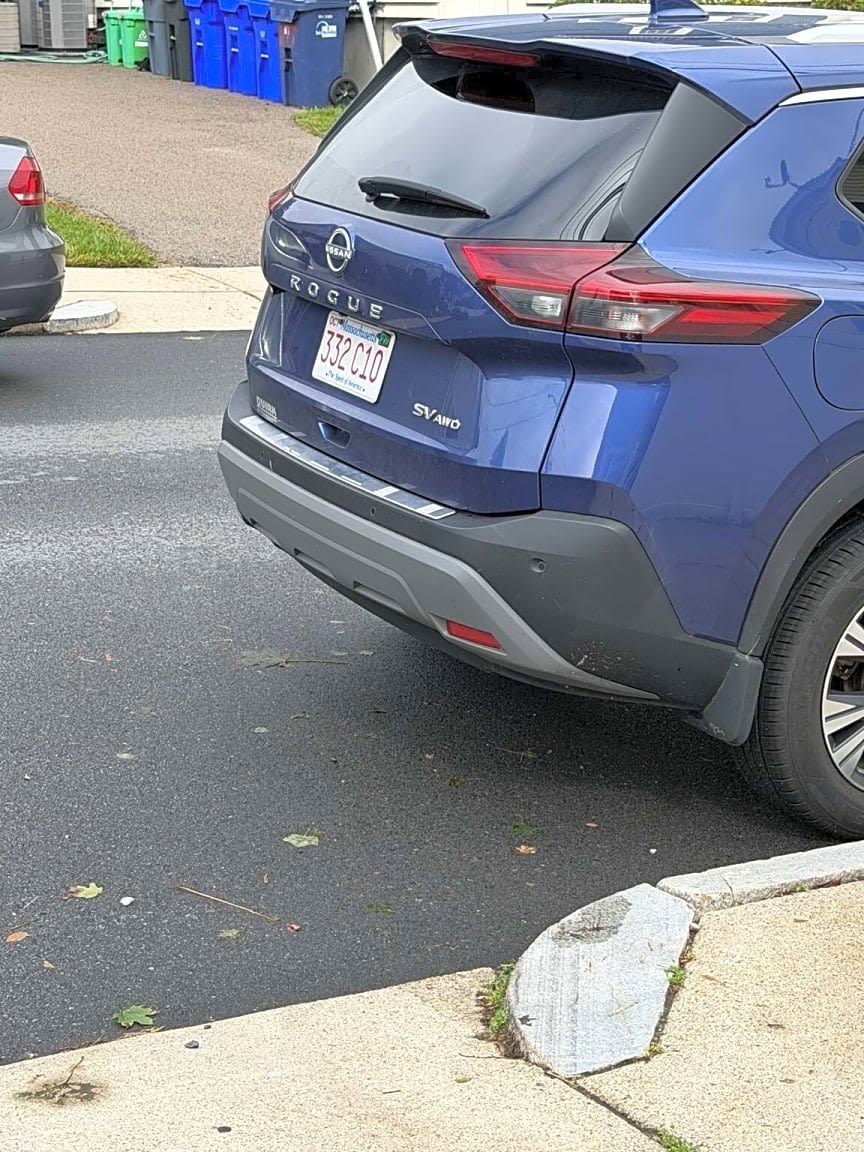 Image submitted with report