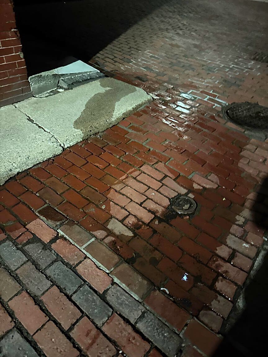 Image submitted with report