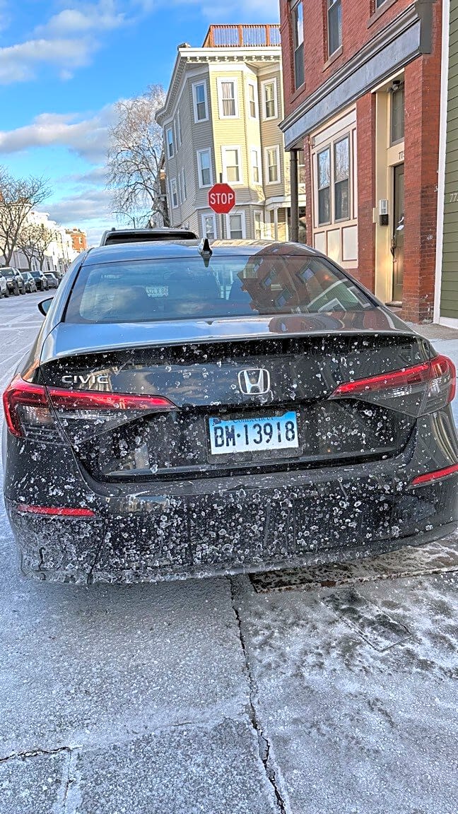 Image submitted with report