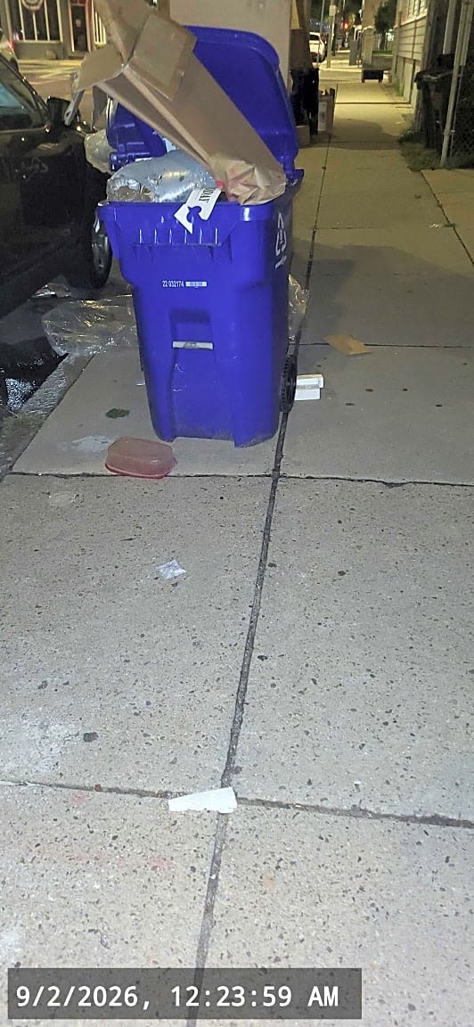 Image submitted with report