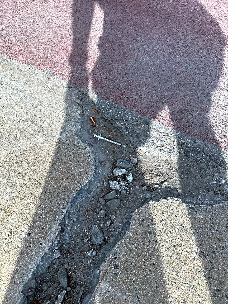 Image submitted with report
