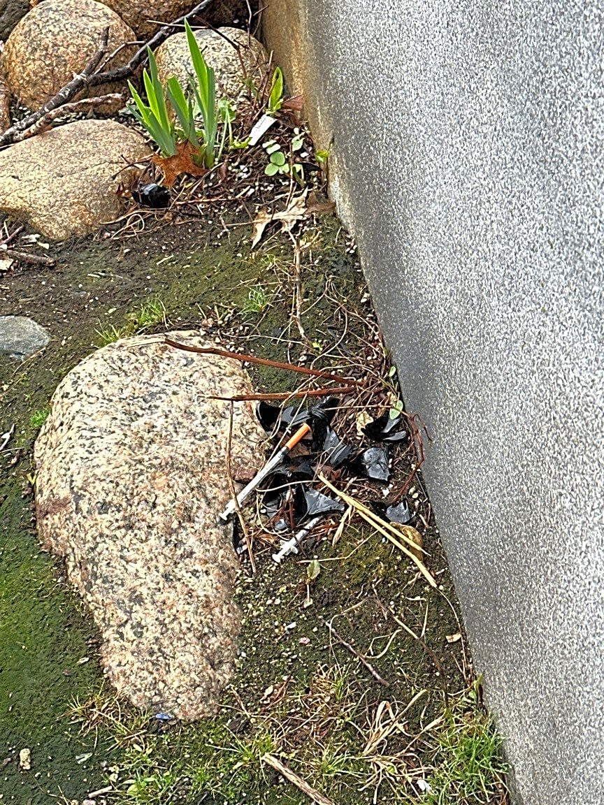 Image submitted with report