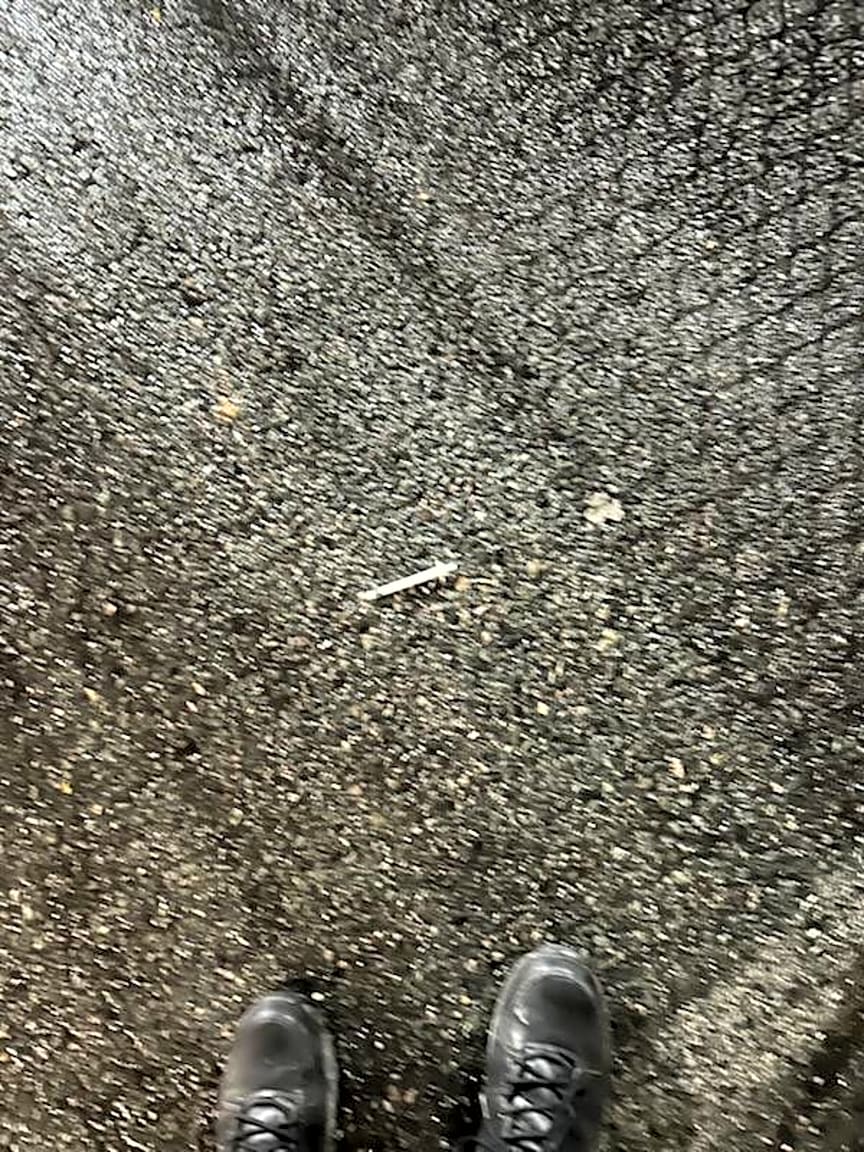 Image submitted with report