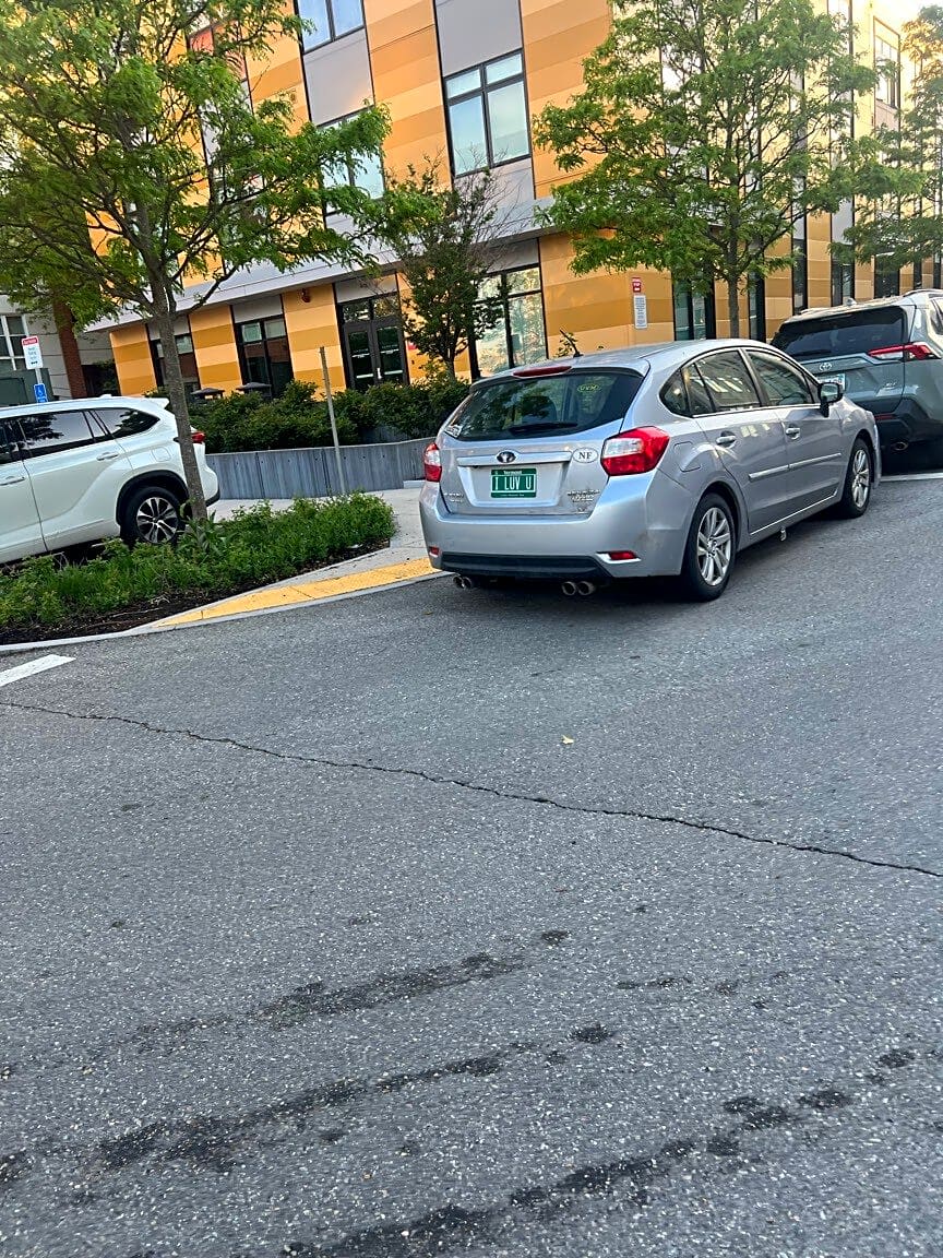 Image submitted with report