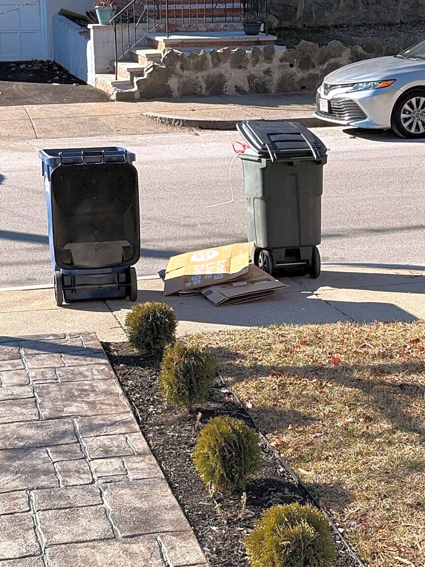 Image submitted with report