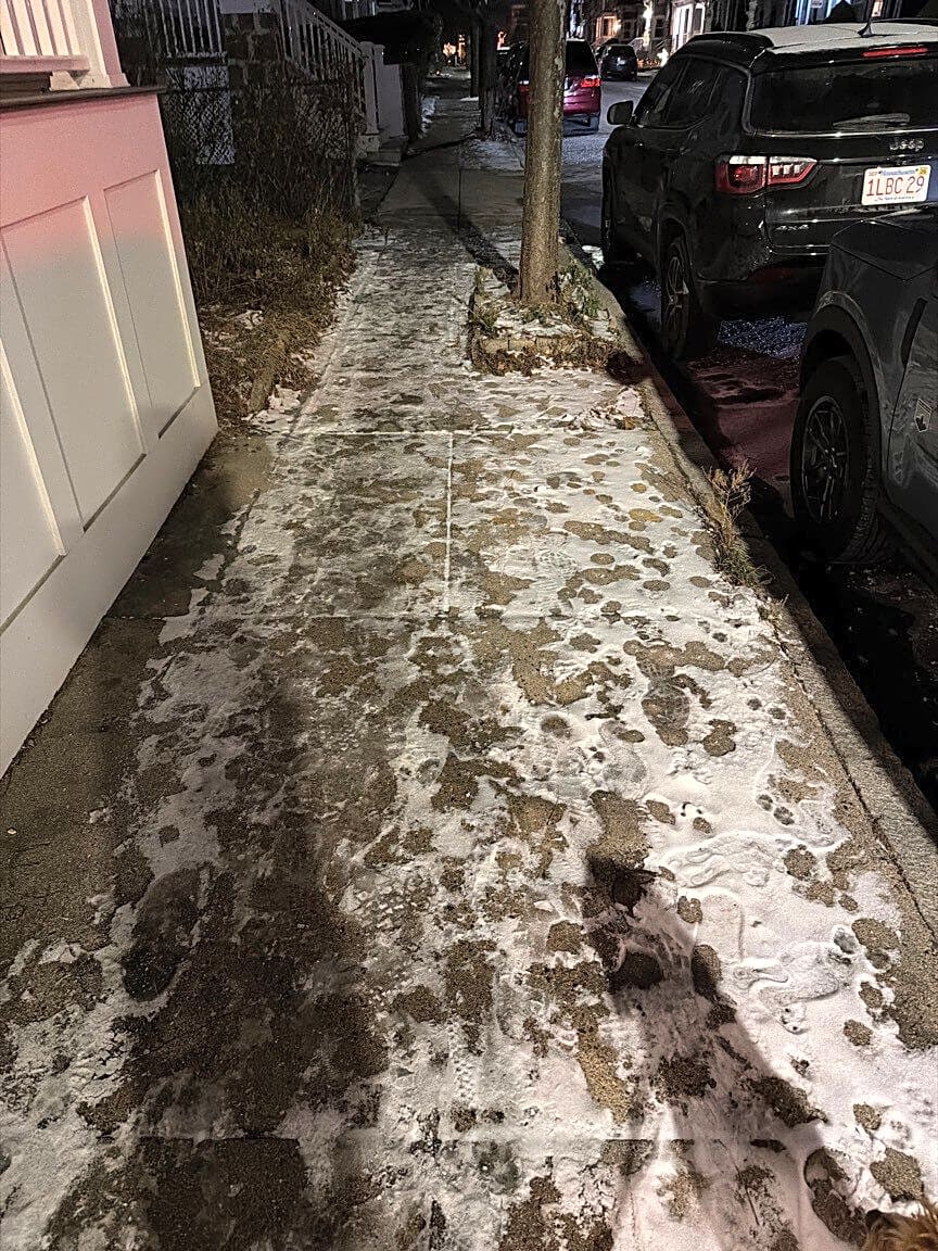 Image submitted with report