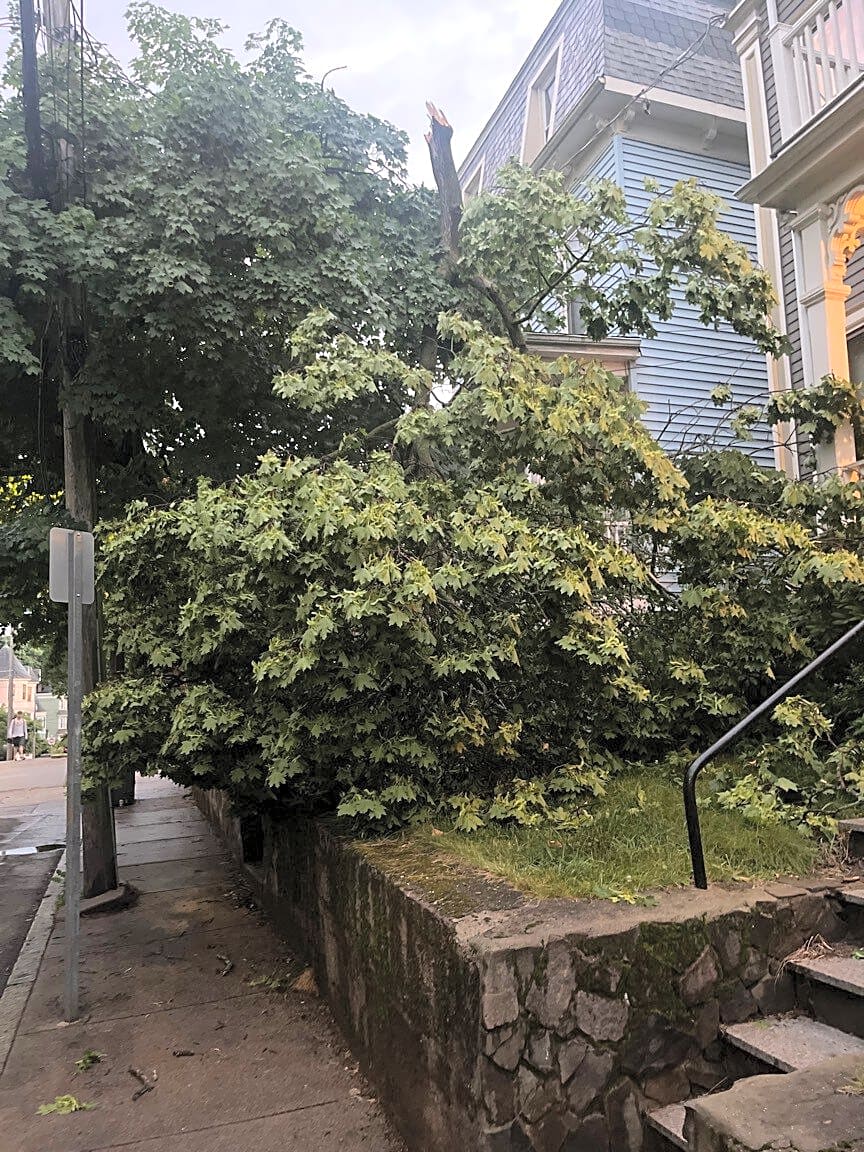 Image submitted with report
