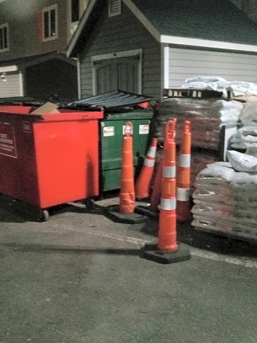 Image submitted with report