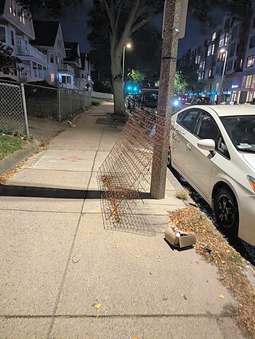 Image submitted with report