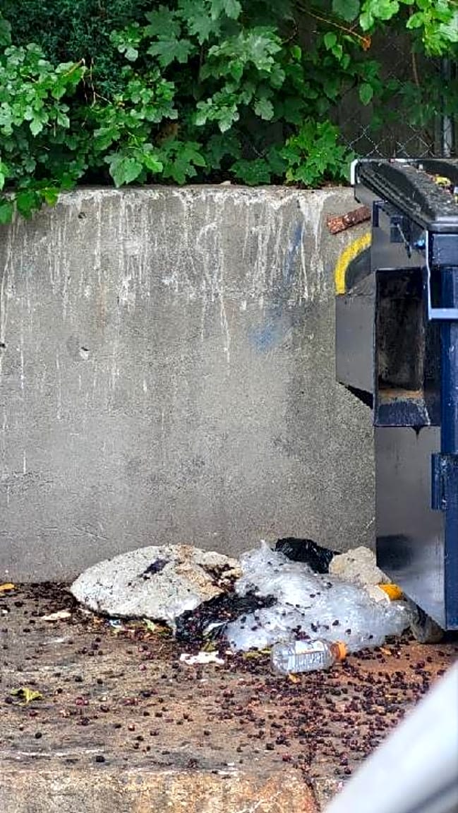 Image submitted with report