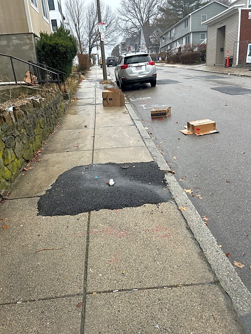 Image submitted with report